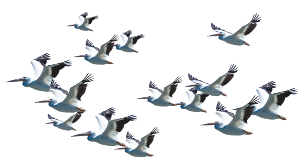 The Architecture Of Trade: From Souk To Algorithmic Exchange