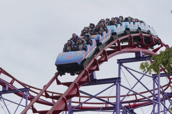 Crowd Synapse: The Collective Intelligence Of Concert Audiences