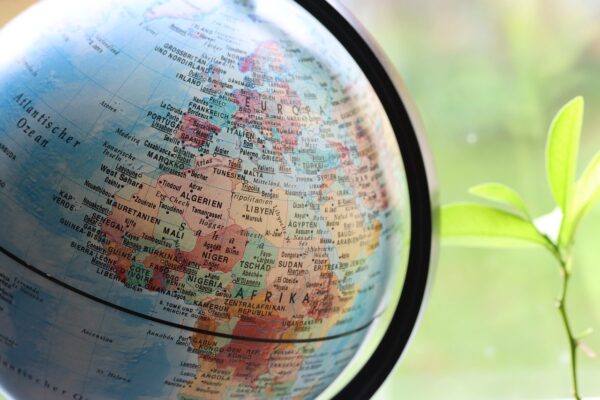 The Agile Learner: Crafting Skills Through Digital Curricula