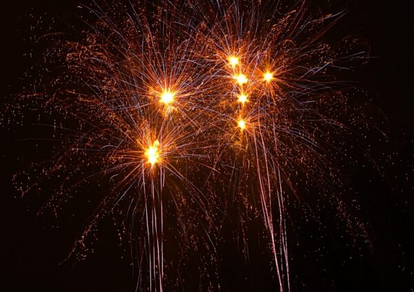 Data Topologies: Mapping Emergent Digital Ecologies