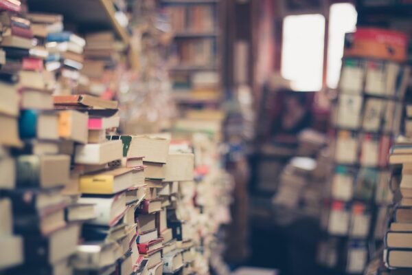 Intellectual Agility: Architecting Lifelong Learning Capacities