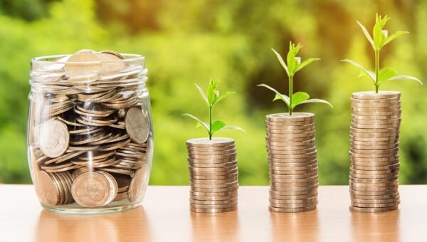 Calculated Disruption: Fostering Innovation In High-Growth Ecosystems