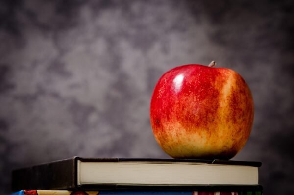 Adaptive Education: Crafting Professional Agility In Digital Arenas
