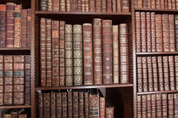 Neuroscience, Equity, And AI: Remaking Teacher Development Paradigms