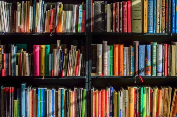 Future-Proofing Knowledge: Precision Tools For Adaptive Minds
