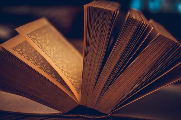 Algorithmic Enlightenment: Remapping Discovery Through Data Science