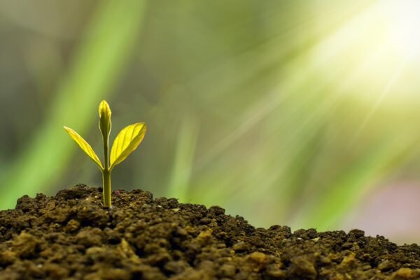 Convergence Crucible: Forging Culture, Securing Market Edge