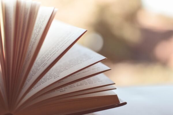 Cultivating Intellectual Agility: Precision In Scholarly Inquiry