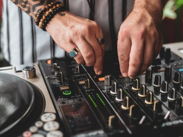 Ecosystem Of Euphoria: Crafting Concerts, Cultivating Community