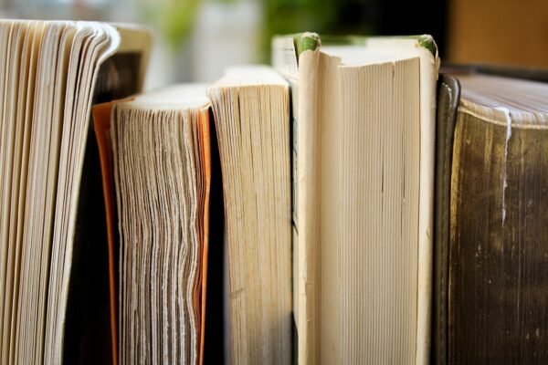 Curriculum As Civic Fabric: Designing For Pluralism