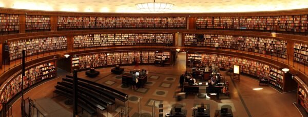 Designing Cognition: The Evolving Architecture Of Learning Texts